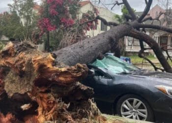 Tempête Hilary : le sud de la Californie ravagé par de violentes inondations