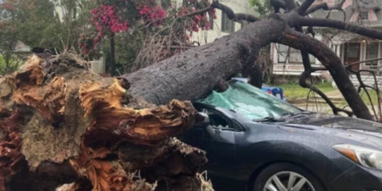 Tempête Hilary : le sud de la Californie ravagé par de violentes inondations