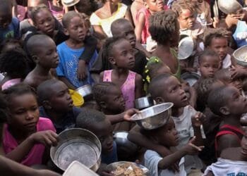 Crise alimentaire en Haïti : 5,4 millions de personnes en insécurité alimentaire