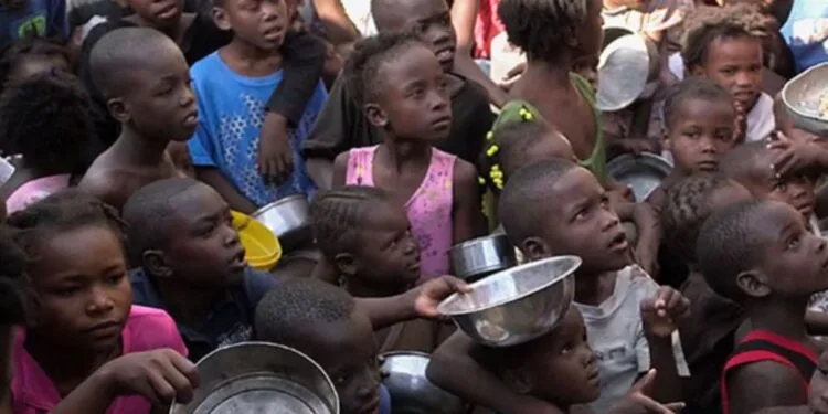 Crise alimentaire en Haïti : 5,4 millions de personnes en insécurité alimentaire