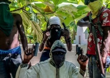 Le gang du « Gran Grif » frappe à nouveau