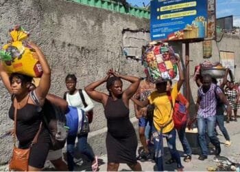 4f6501b0 5072 47ec 9c75 C0a8bb673dc5