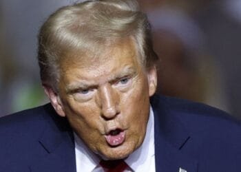 53a9d2f2 94af 4426 9c4a 7964ceef69b0 1.jpg