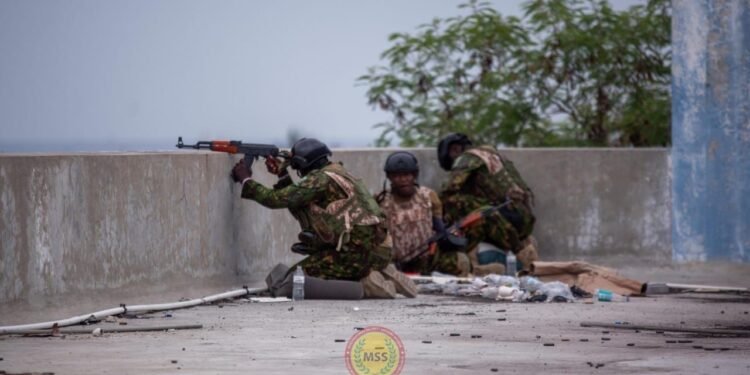 5aba5549 7a75 4bf2 8659 246d1f7ca24a 1.jpg