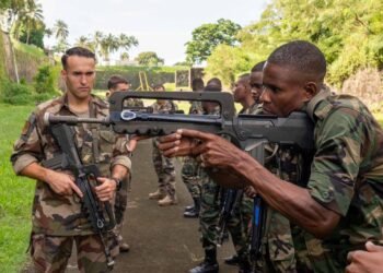 D256c312 612b 4295 8363 881ef74e8fa1 1.jpg