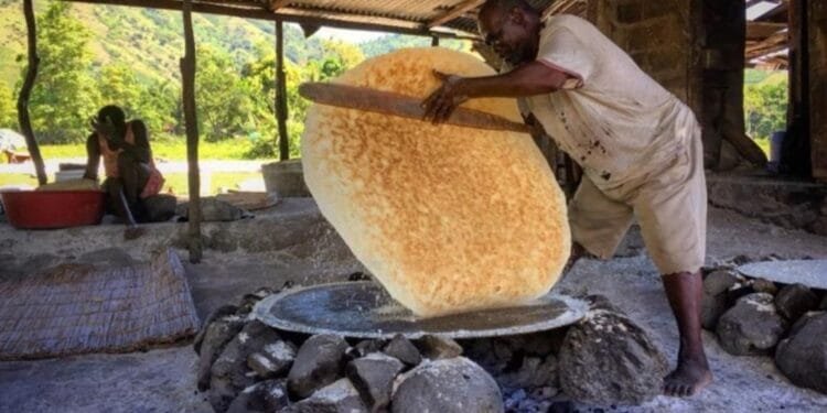 0d027c2a 44fc 4264 884b 3f9a87f659d0 1.jpg