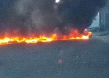 4a87d7cc E995 44ee 93ce A83184702b8b 1.jpg