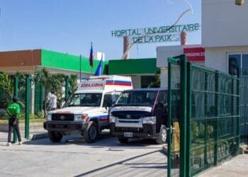 6b6a9479 81cc 4590 A004 66198305a5d4 1.jpg