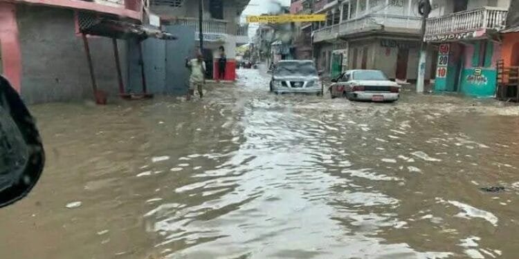 99696dbd 7c9e 4634 B937 5bf92f0b9e4d 1.jpg