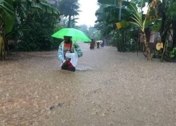 Ab39442f 17ce 46d5 8570 3ed509bb6f51 1.jpg