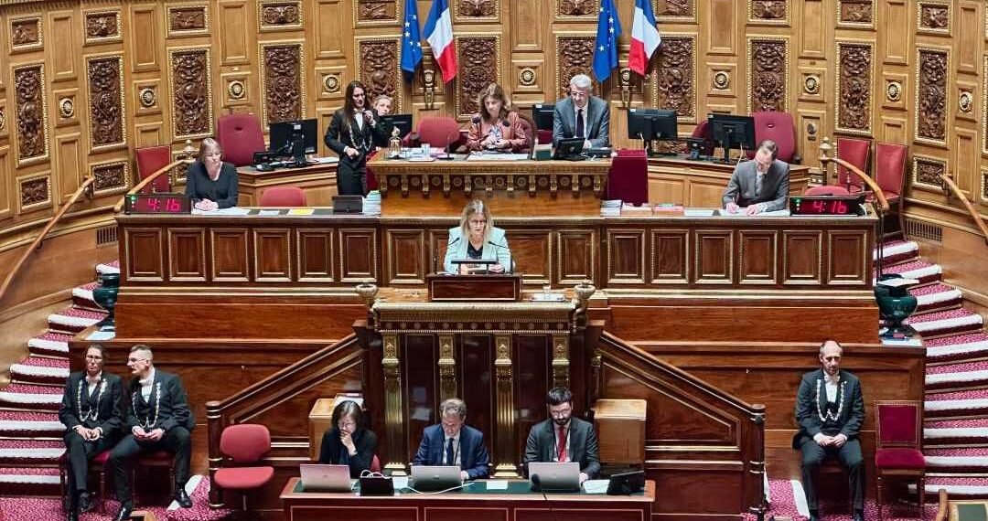 Force Internationale en Haïti: la France soutient mais reste silencieuse sur une participation militaire