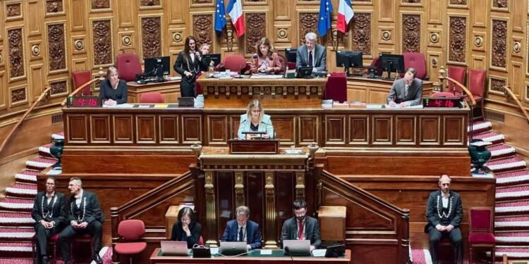 Force Internationale en Haïti: la France soutient mais reste silencieuse sur une participation militaire